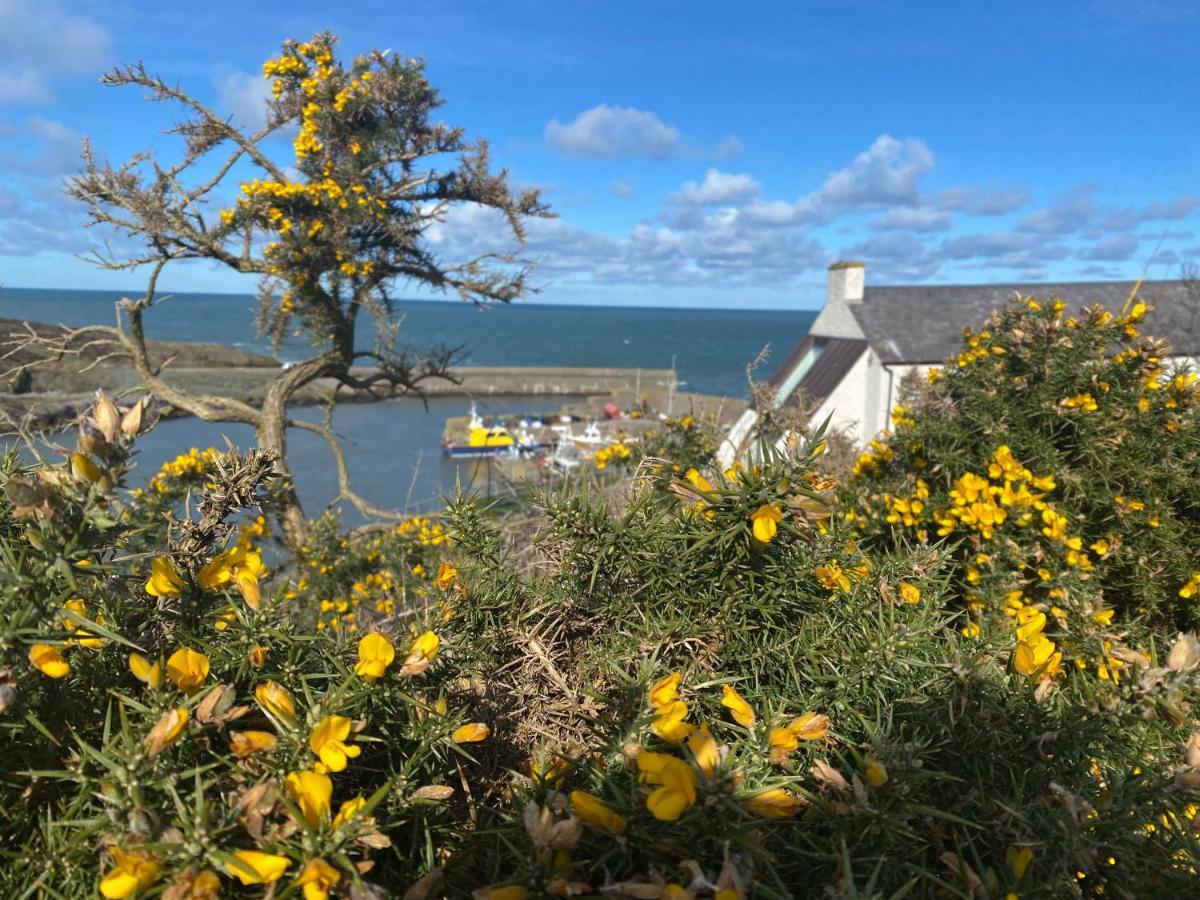 Converted Chapel - Sant Pedr Newydd - With Sea Views *